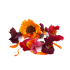 Piccolo Edibles // Freeze Dried Sunset Petals